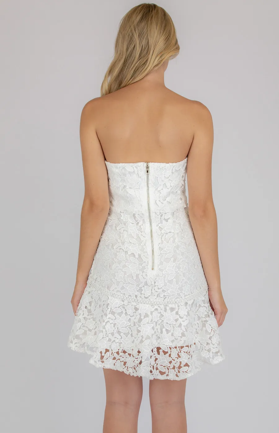 Strapless Embroidery Lace Dress with Trim Detail (SDR516A)